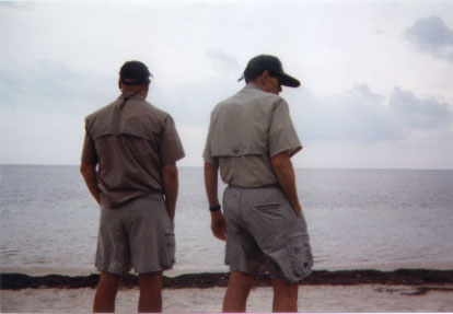 searching2