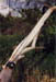 flyrod