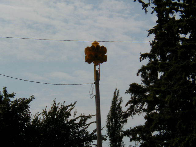 P8190002