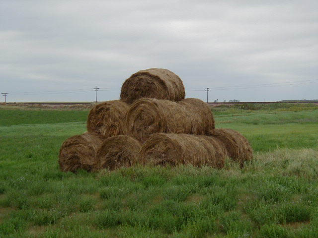 P8190009