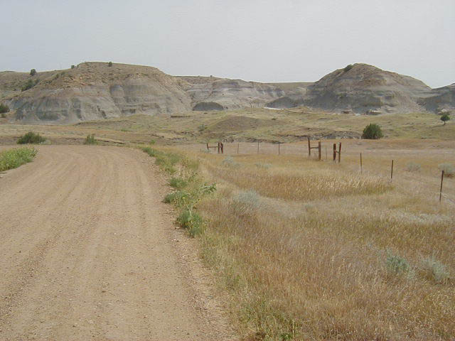 P8200017
