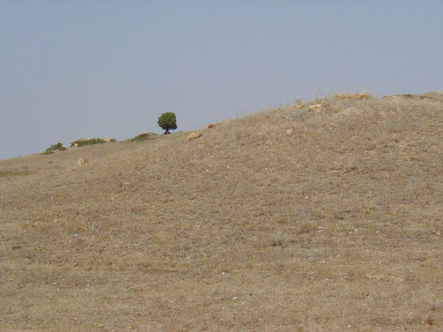 P8200020