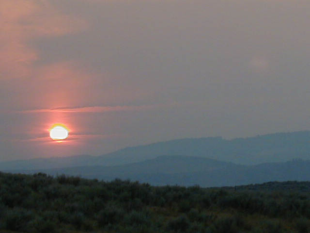 P8200033