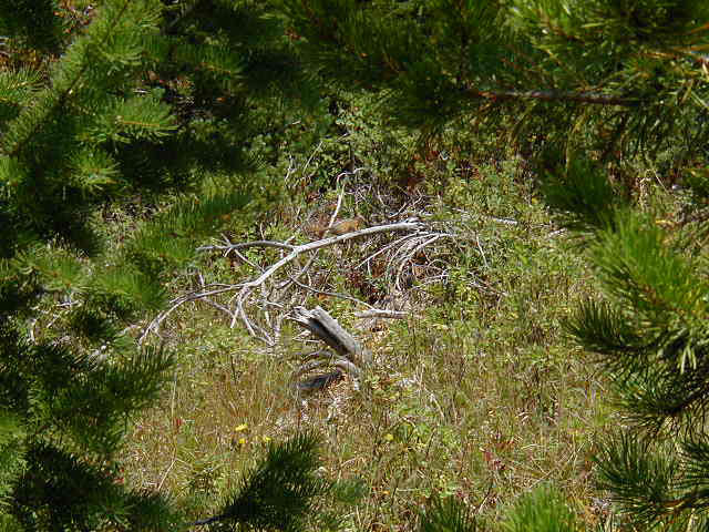 P8210041