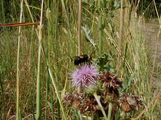 P8210042