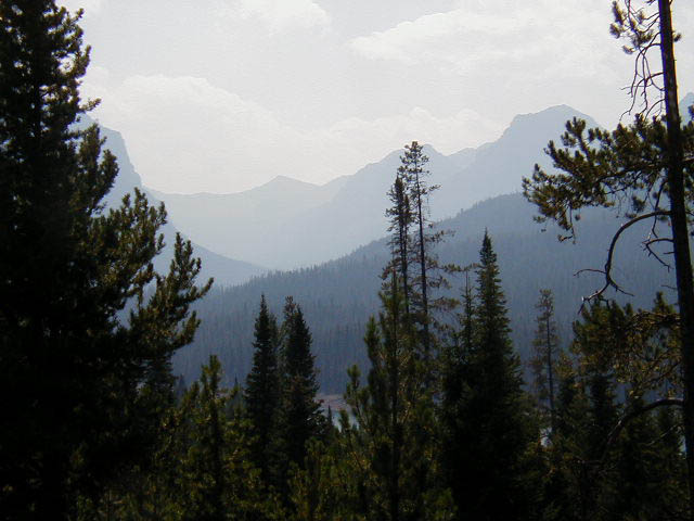 P8210043