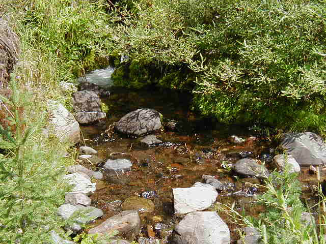 P8210045