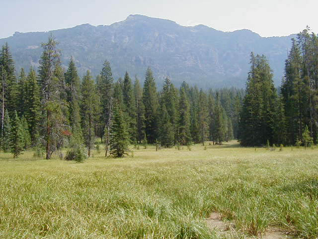 P8210046