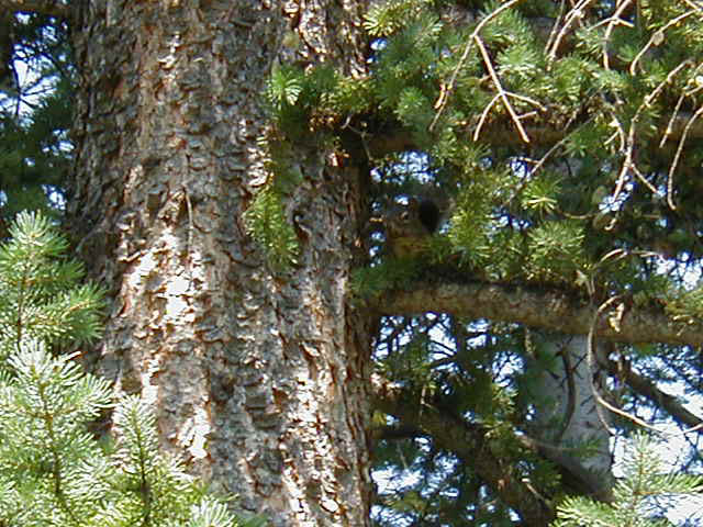 P8210050