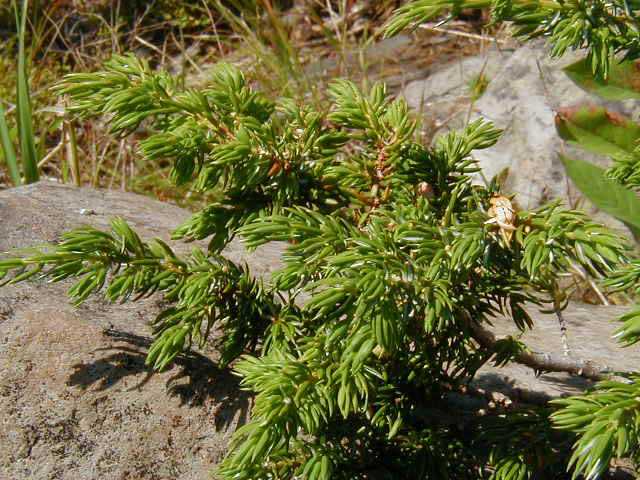P8210051