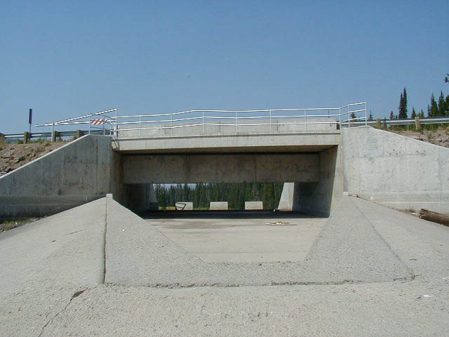 P8210053