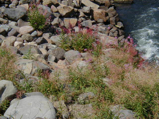 P8210062