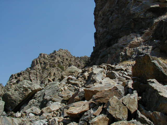 P8220074