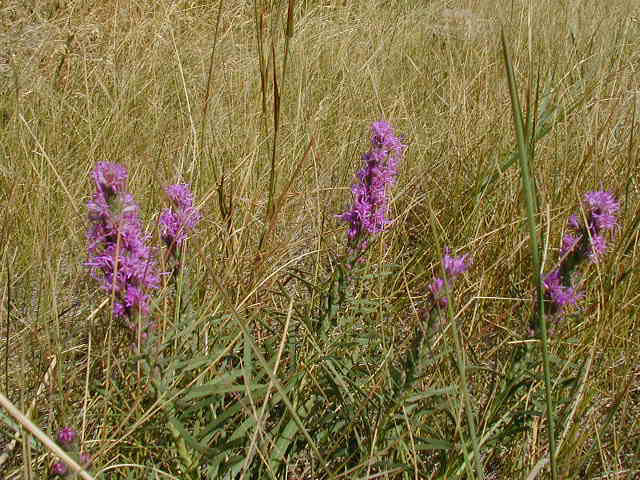 P8220077