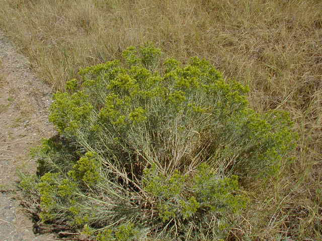 P8220082