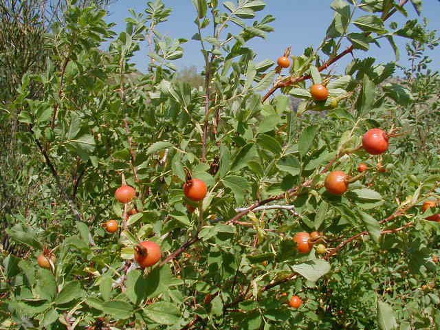 P8220083