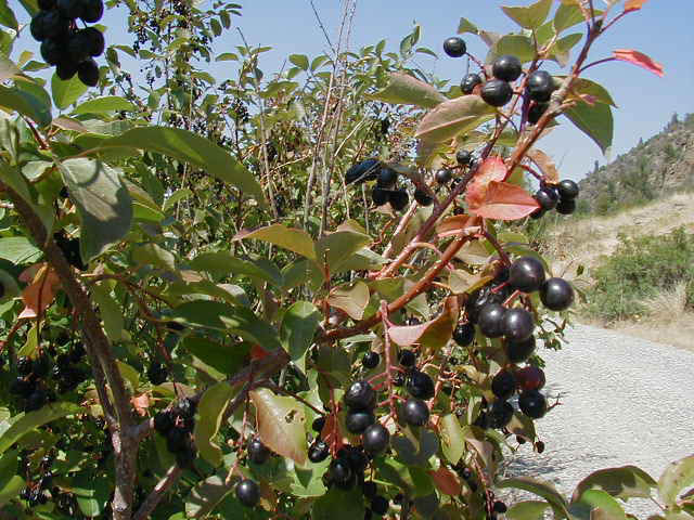 P8220089
