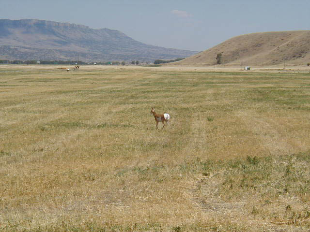 P8230118