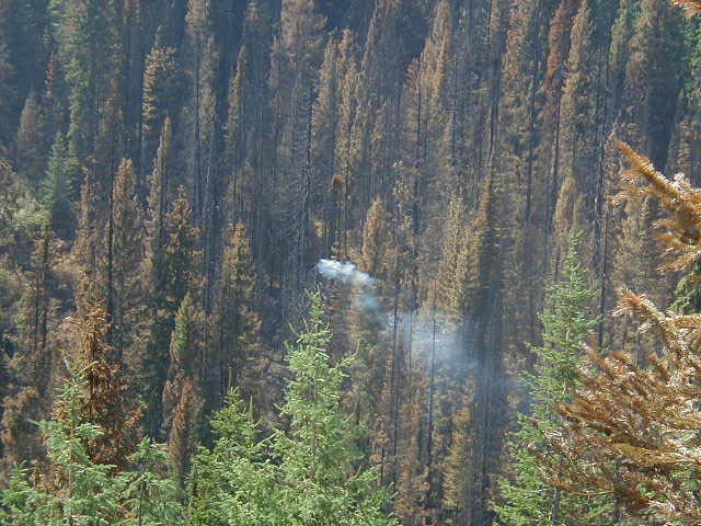 P8240008