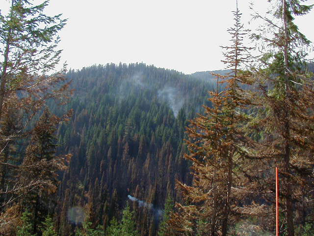 P8240009