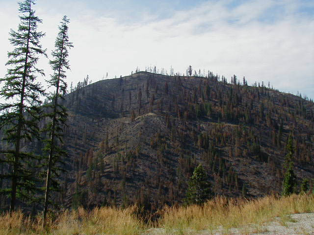 P8240010