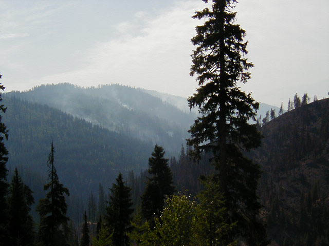 P8240012