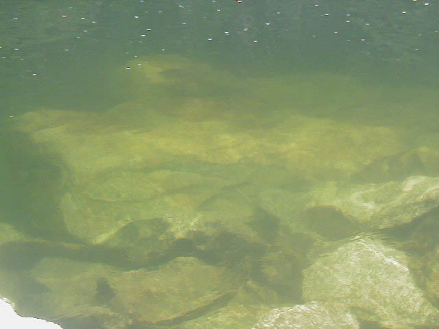 P8270180